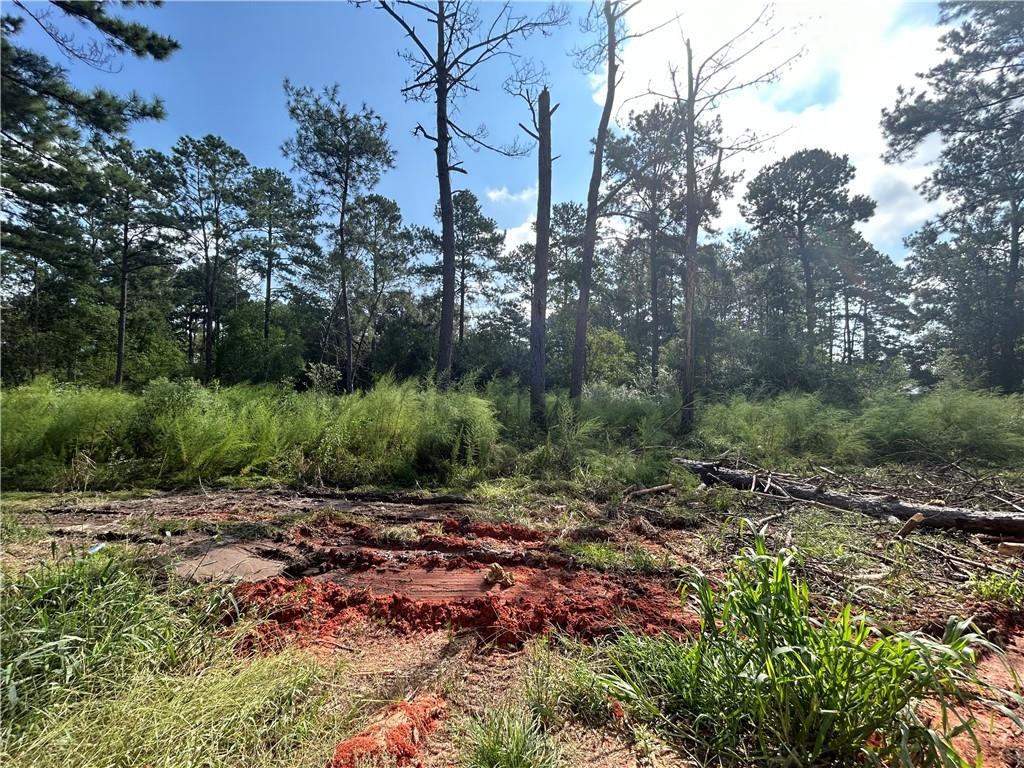 46376 Milton Road Hammond, LA 70401 - Photo 5 of 6