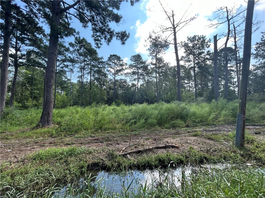 46376 Milton Road Hammond, LA 70401 - Photo 6 of 6