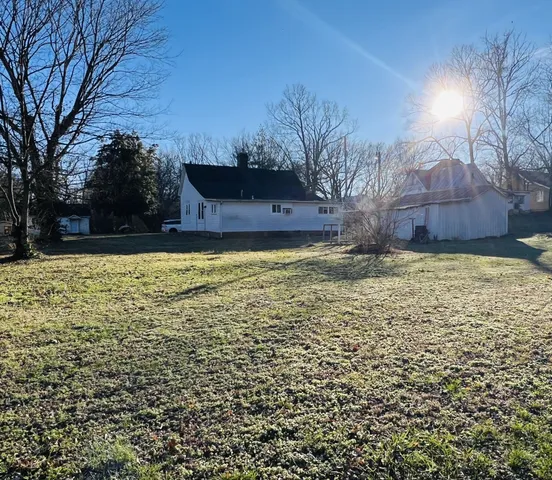 a view of a yard with a large tree