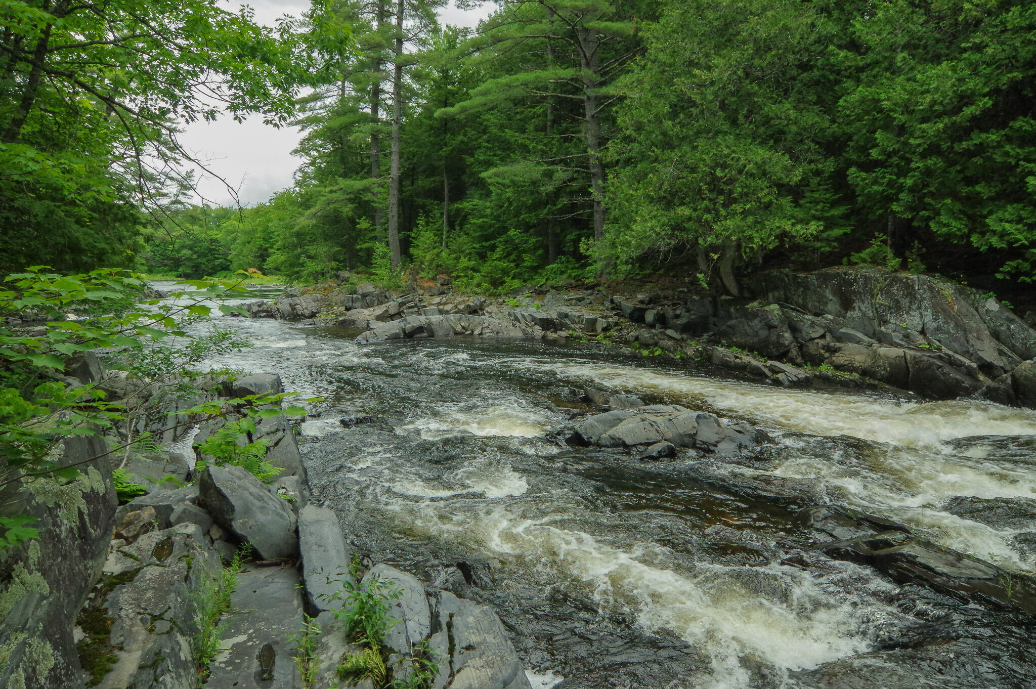 58 River Road Abbot, ME 04406 - Photo 92 of 114 IMGP0598