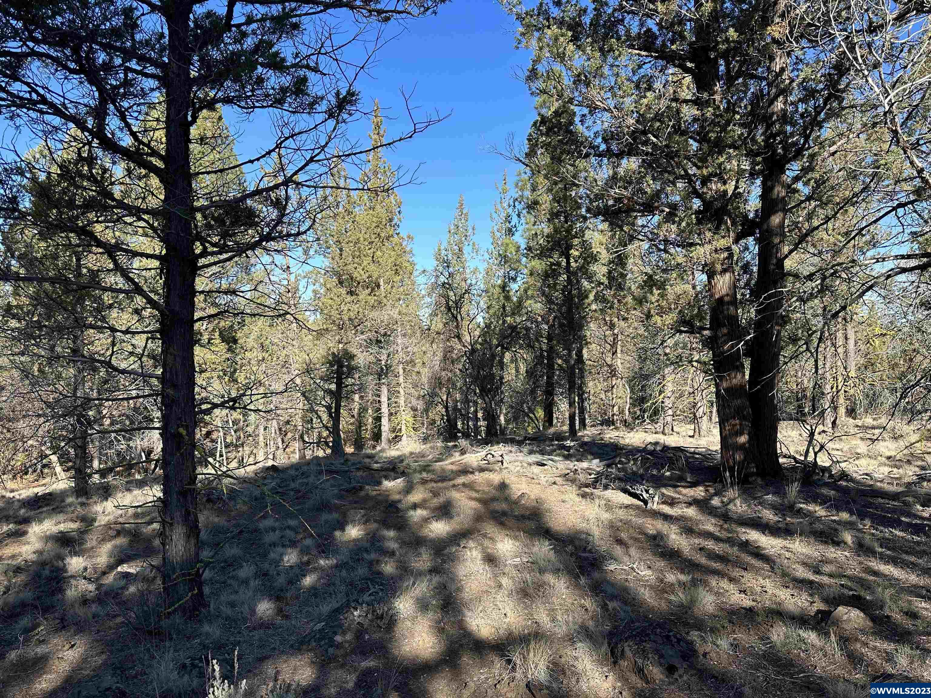 1300 Fishhole Creek Road Bly, OR 97622 - Photo 24 of 25