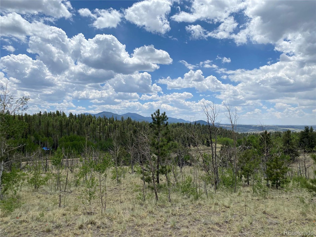 0 Al Gulch Road Jefferson, CO 80456 - Photo 1 of 16 4 acre corner lot with great views