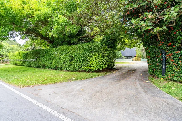 a view of a yard with plants and trees
