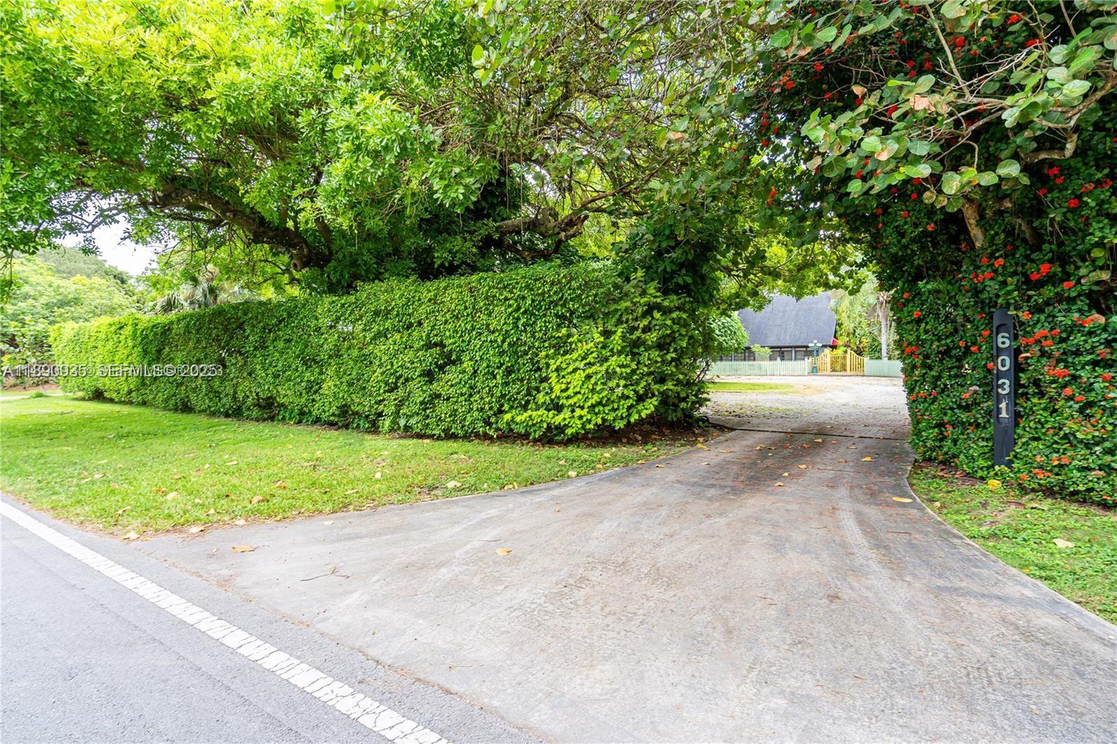 a view of a yard with plants and trees