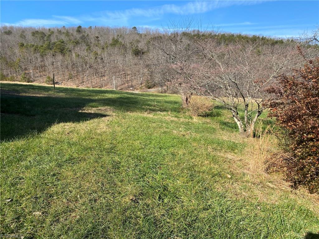 1080 Fowler Farm Road, Unit TRACT #1 King, NC 27021 - Photo 3 of 6