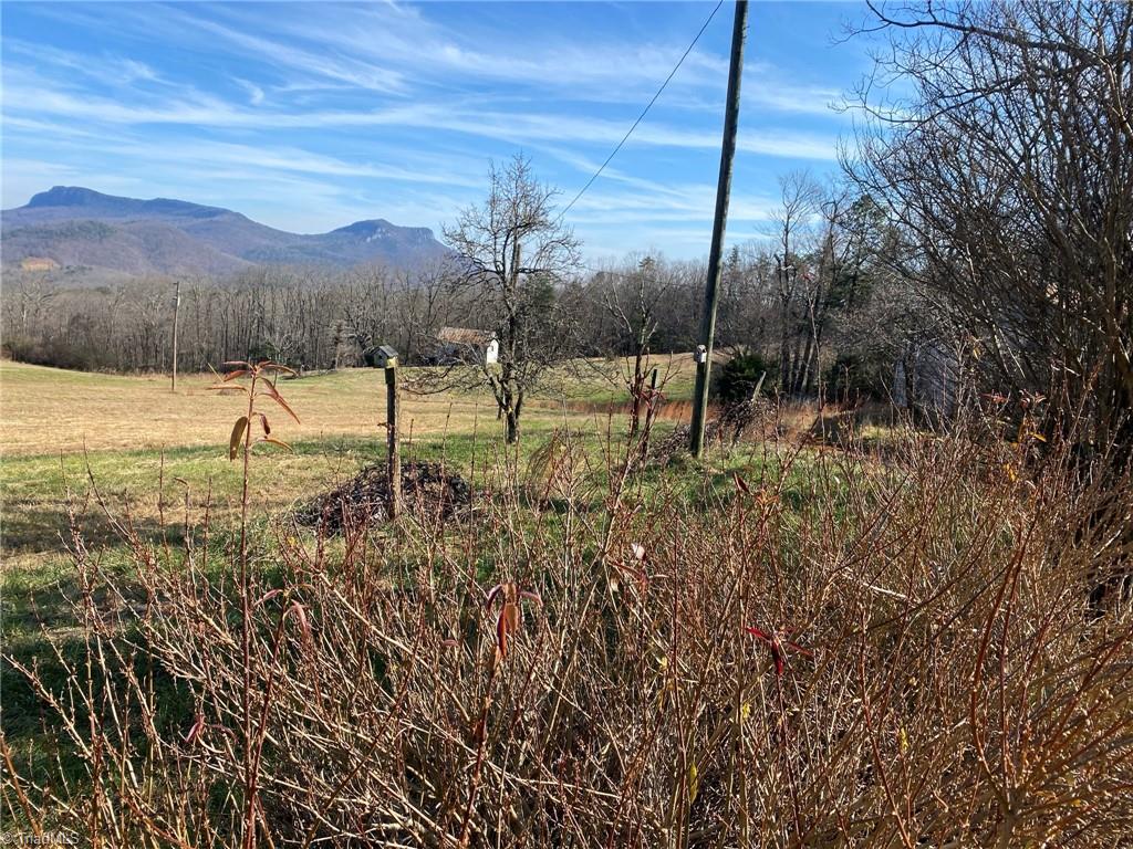 1080 Fowler Farm Road, Unit TRACT #1 King, NC 27021 - Photo 4 of 6
