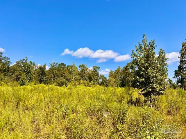 $115,000 | Lot 6 Cotton Lake Road, Molino, FL 32577