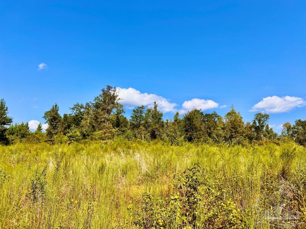 Lot 6 Cotton Lake Road Molino, FL 32577 - Photo 11 of 27