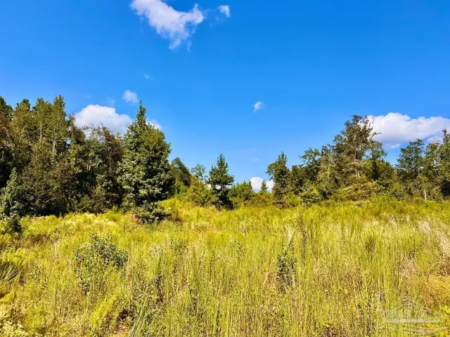 $115,000 | Lot 6 Cotton Lake Road, Molino, FL 32577