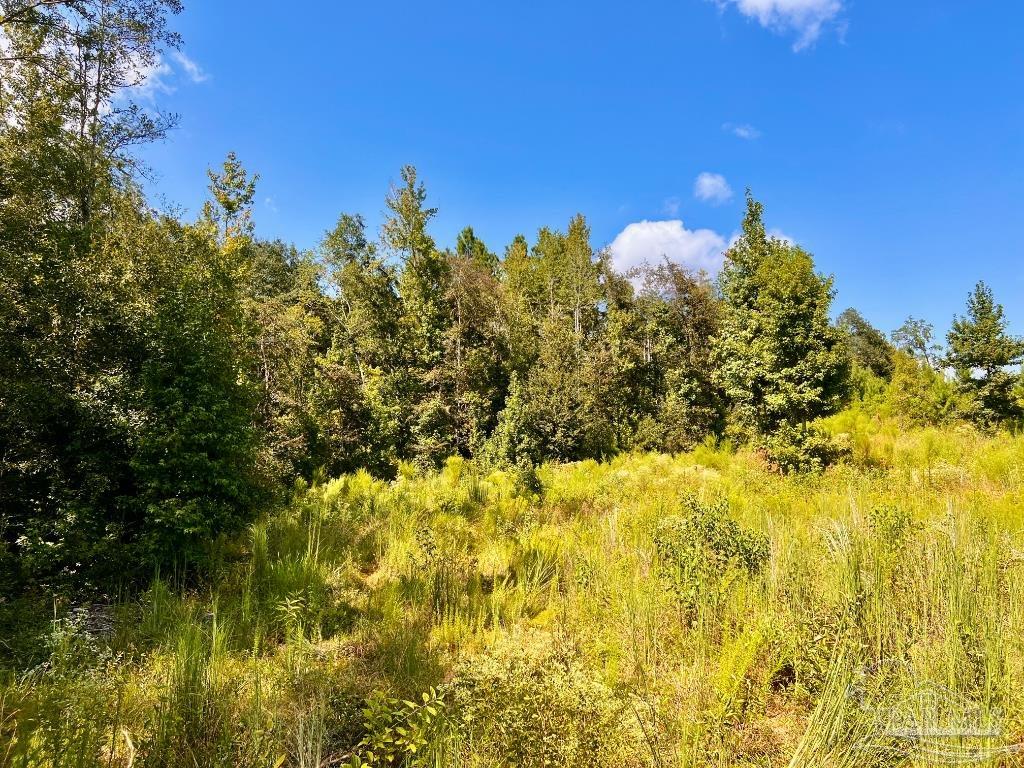Lot 6 Cotton Lake Road Molino, FL 32577 - Photo 13 of 27