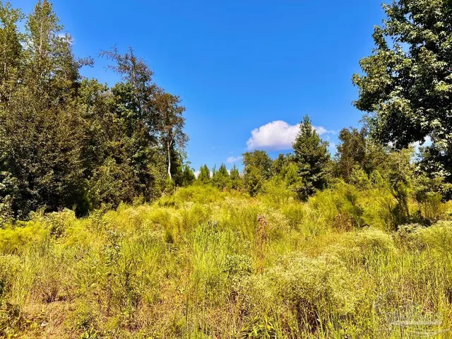 $115,000 | Lot 6 Cotton Lake Road, Molino, FL 32577