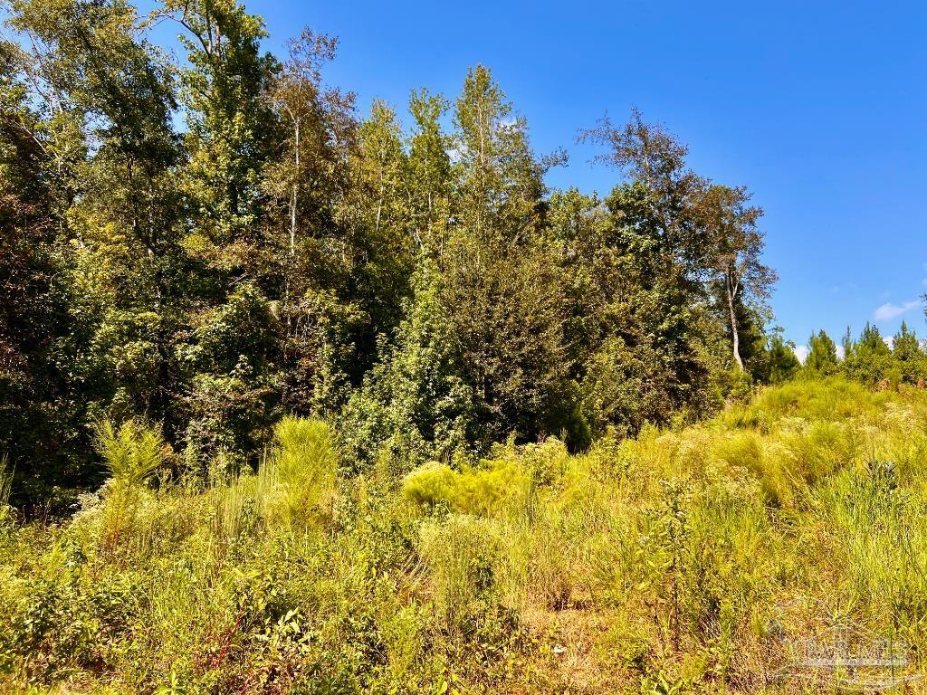 Lot 6 Cotton Lake Road Molino, FL 32577 - Photo 17 of 27