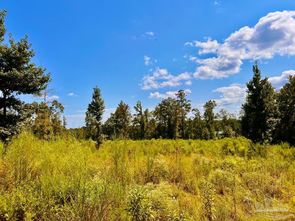 Lot 6 Cotton Lake Road Molino, FL 32577 - Photo 18 of 27