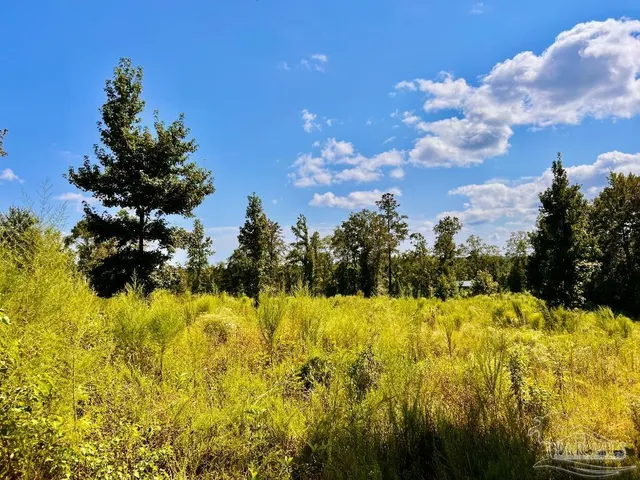 $115,000 | Lot 6 Cotton Lake Road, Molino, FL 32577