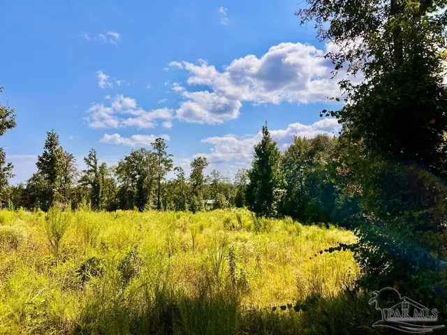 $115,000 | Lot 6 Cotton Lake Road, Molino, FL 32577