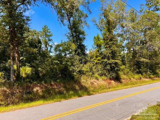 $115,000 | Lot 6 Cotton Lake Road, Molino, FL 32577