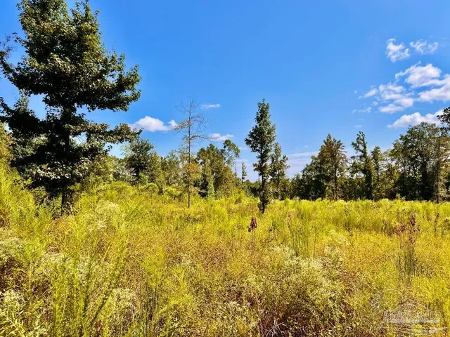 $115,000 | Lot 6 Cotton Lake Road, Molino, FL 32577