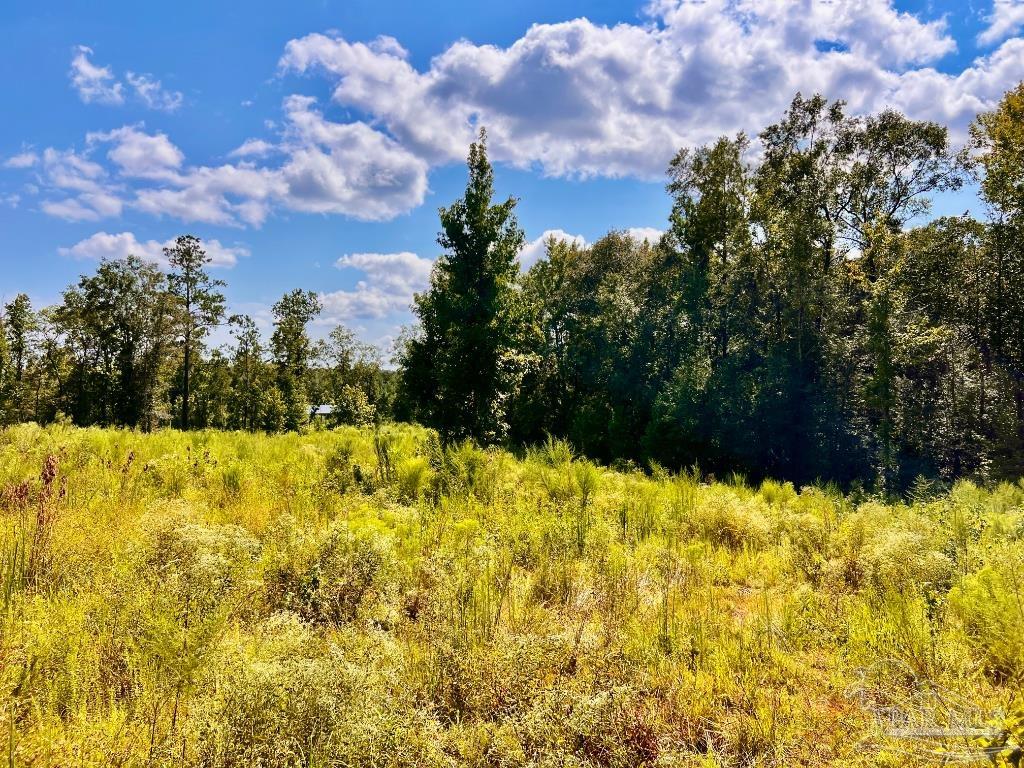 Lot 6 Cotton Lake Road Molino, FL 32577 - Photo 22 of 27