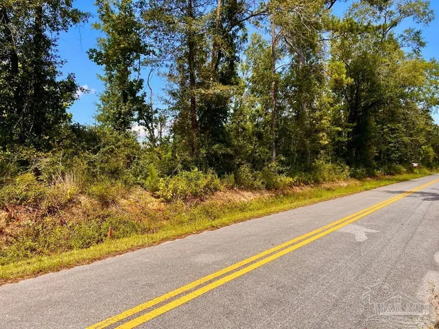 $115,000 | Lot 6 Cotton Lake Road, Molino, FL 32577