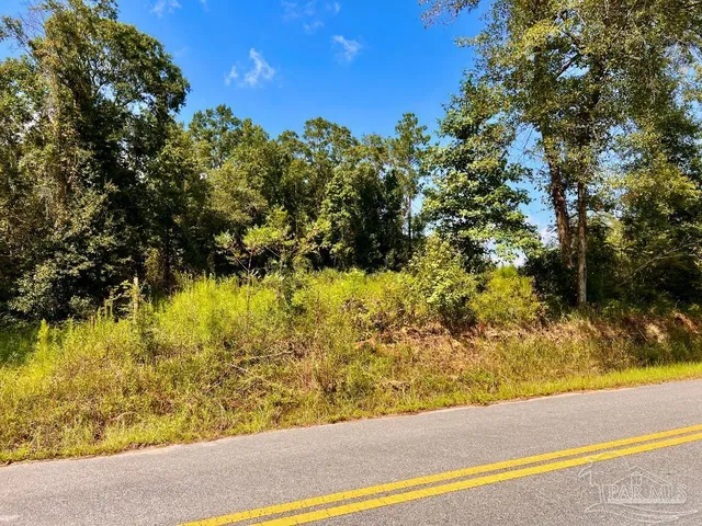 $115,000 | Lot 6 Cotton Lake Road, Molino, FL 32577