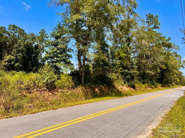 $115,000 | Lot 6 Cotton Lake Road, Molino, FL 32577