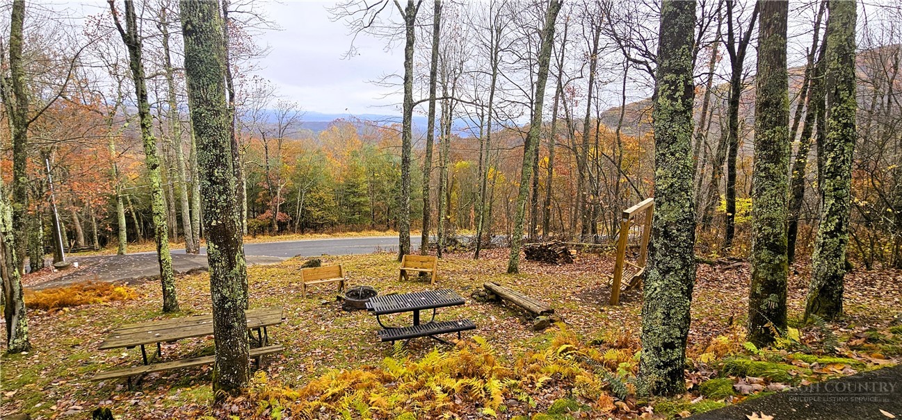 3043 Junaluska Road Boone, NC 28607 - Photo 43 of 49