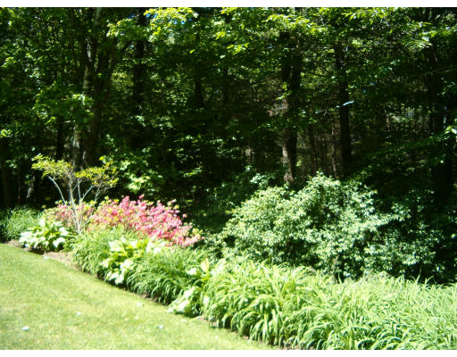 86 Pratt Corner Road Shutesbury, MA 01072 - Photo 7 of 7 a view of a garden with plants