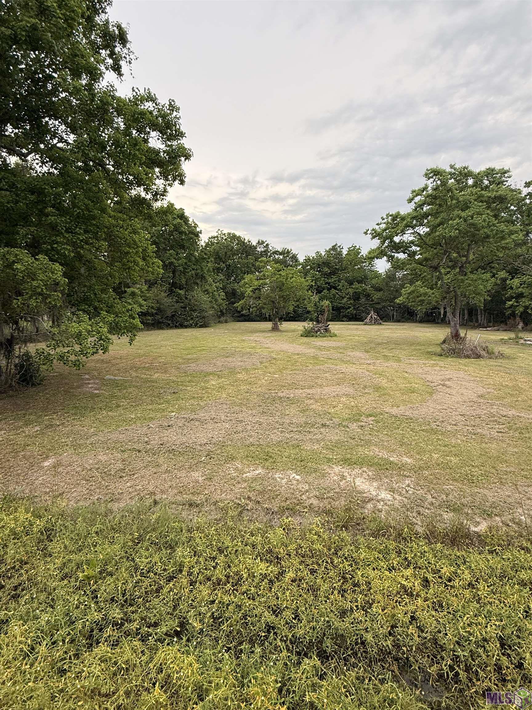 Lot 9 Parker Heights Road Prairieville, LA 70769 - Photo 3 of 5