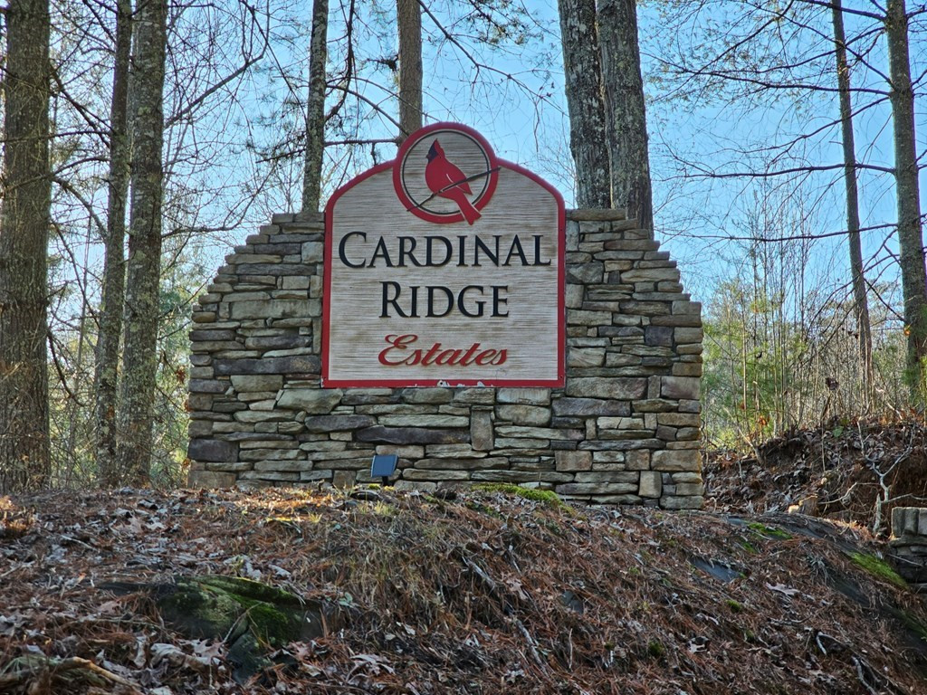 16 Merlin Trail Murphy, NC 28906 - Photo 8 of 9