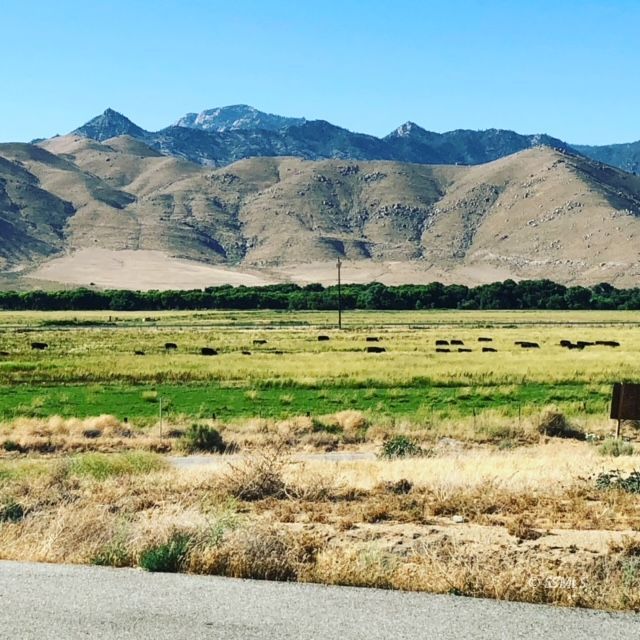 Pauls Place Weldon, CA 93283 - Photo 9 of 48