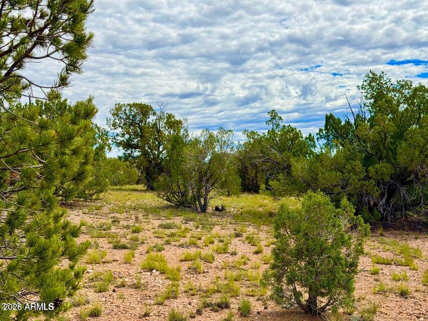 0 Dusty Rose Ranch Seligman, AZ 86337 - Photo 17 of 20 20260914065637424975000000-o
