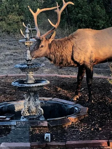 a view of outdoor kitchen