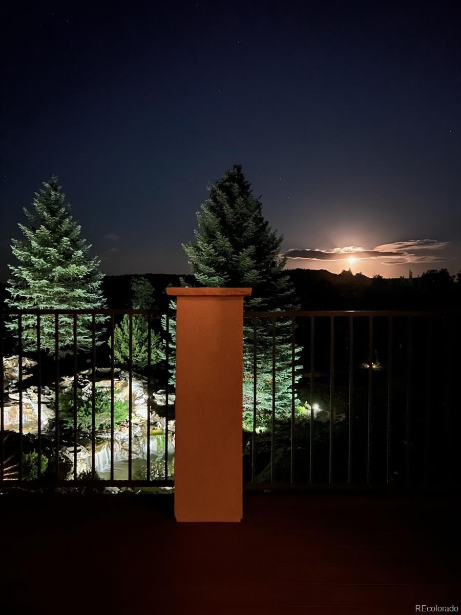 1475 Elk View Road Larkspur, CO 80118 - Photo 45 of 45 a view of outdoor space and barbecue grill