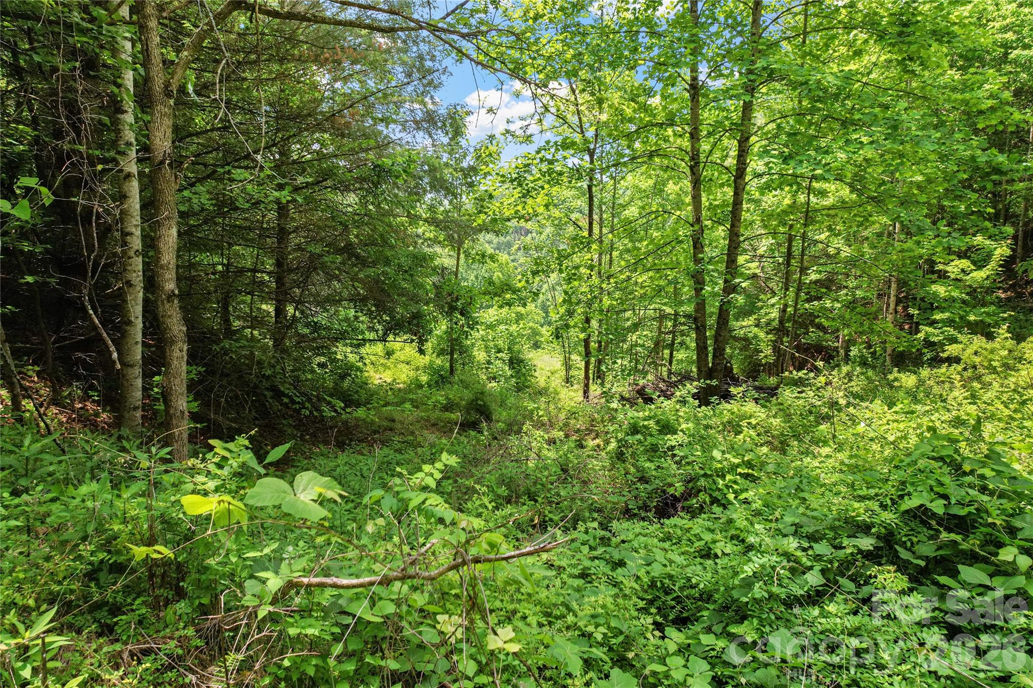 000 Bee Branch Road, Unit 14AC Bakersville, NC 28705 - Photo 7 of 19