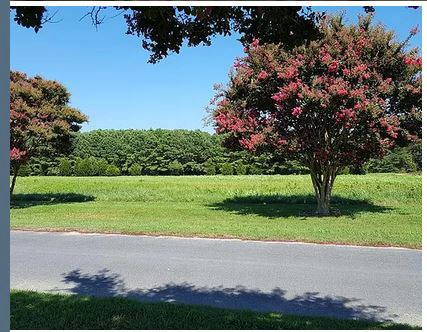 Lot 2 Clearview Road, Unit 2 Exmore, VA 23350 - Photo 10 of 12