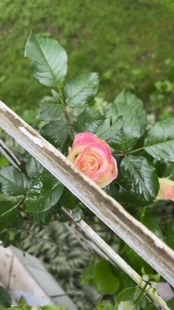 $265,000 | 410 South Center Street, Stockbridge, MI 49285