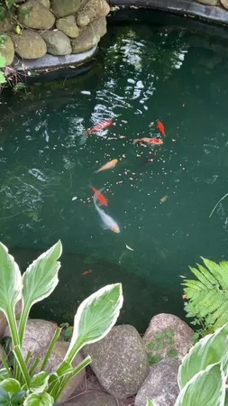 $265,000 | 410 South Center Street, Stockbridge, MI 49285