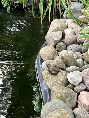 $265,000 | 410 South Center Street, Stockbridge, MI 49285