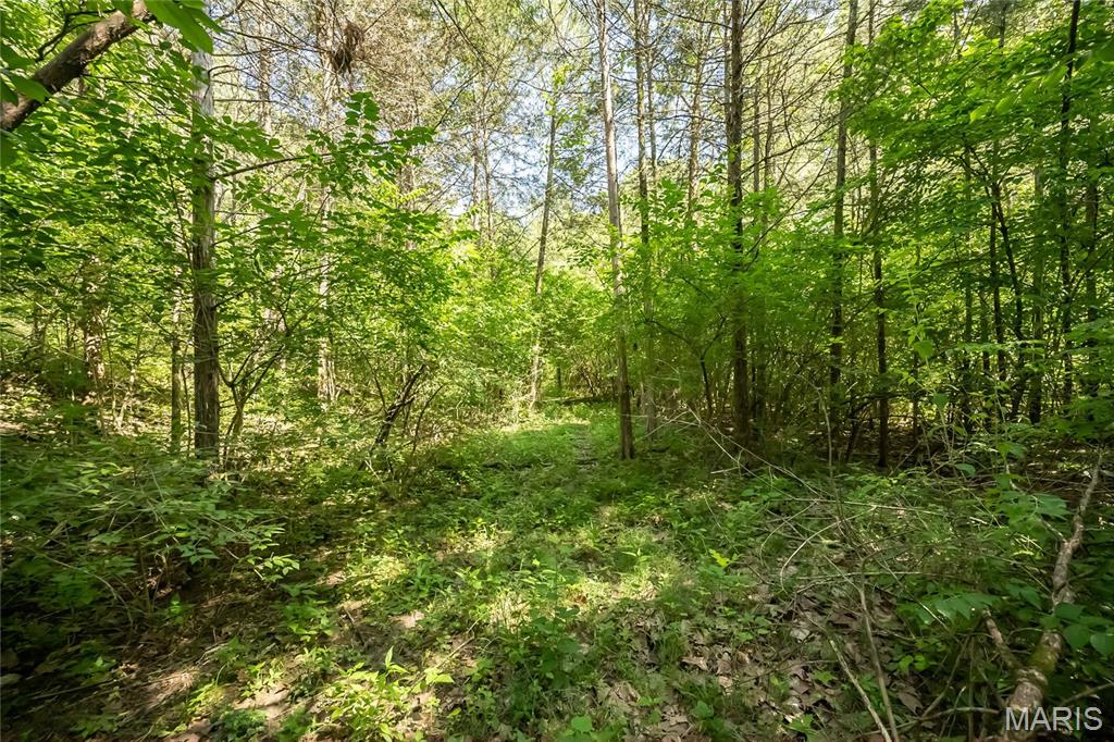 0 Watson Road Festus, MO 63028 - Photo 6 of 17