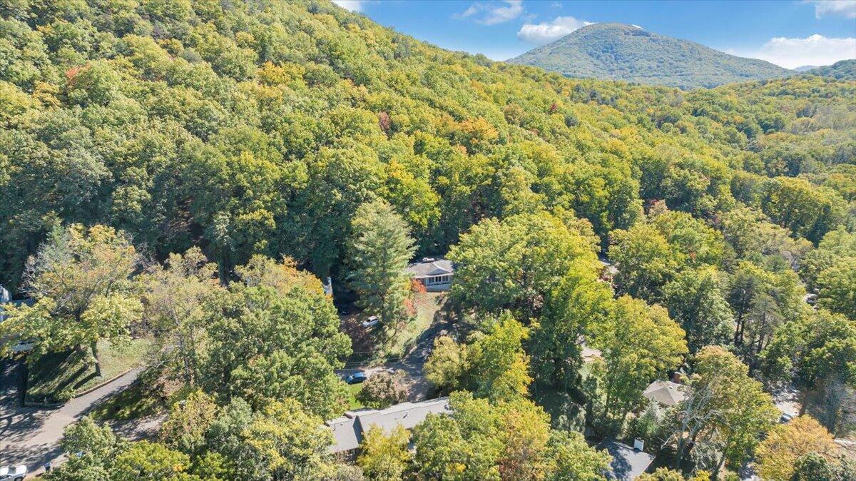 2644 Robin Hood Road Southeast Roanoke, VA 24014 - Photo 96 of 113 096-DJI_20251016015242_0039_D