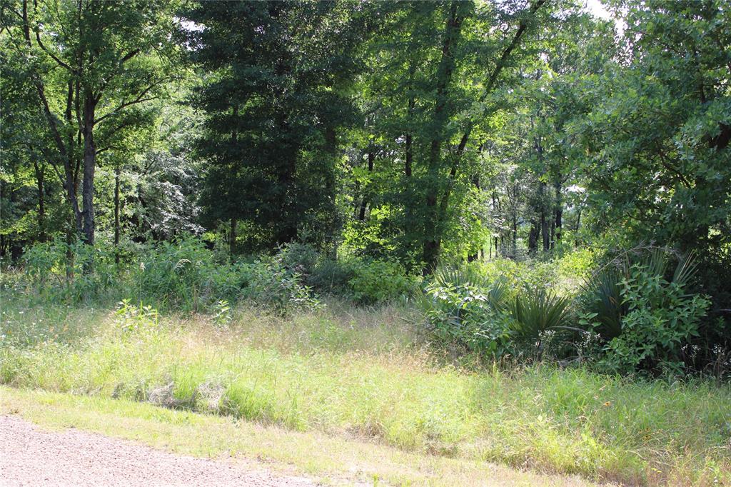 116 Lakeview Trail Mabank, TX 75147 - Photo 11 of 13 Wooded lot with abundant natural foliage and mature trees