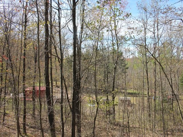 19081 Erickson Drive Dunbar, WI 54119 - Photo 17 of 87
