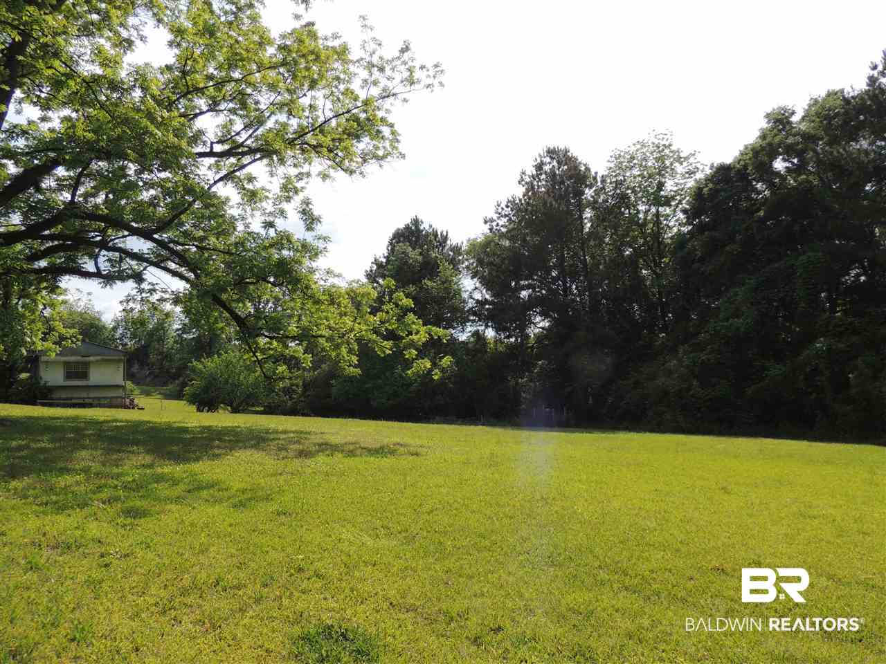552 Reynolds Avenue Evergreen, AL 36401 - Photo 3 of 7