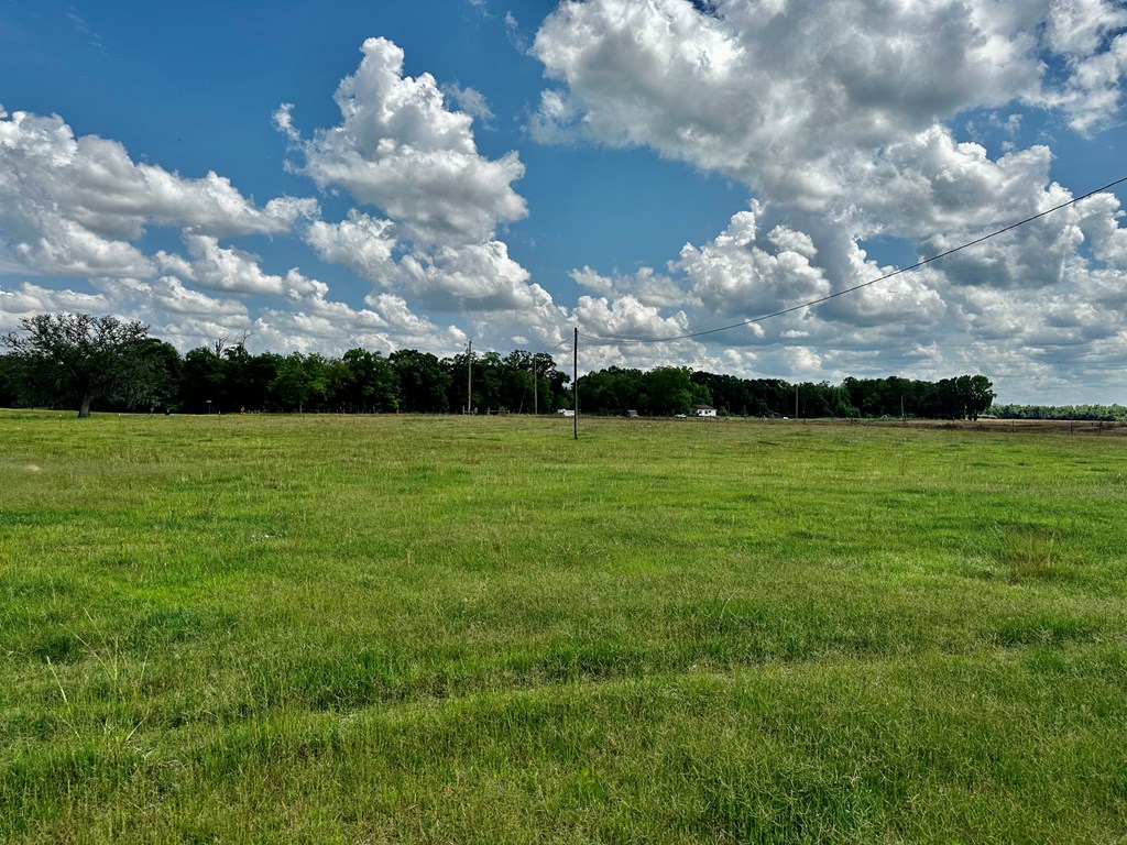 9.53-acres Ramer Loop Cottonwood, AL 36320 - Photo 14 of 14