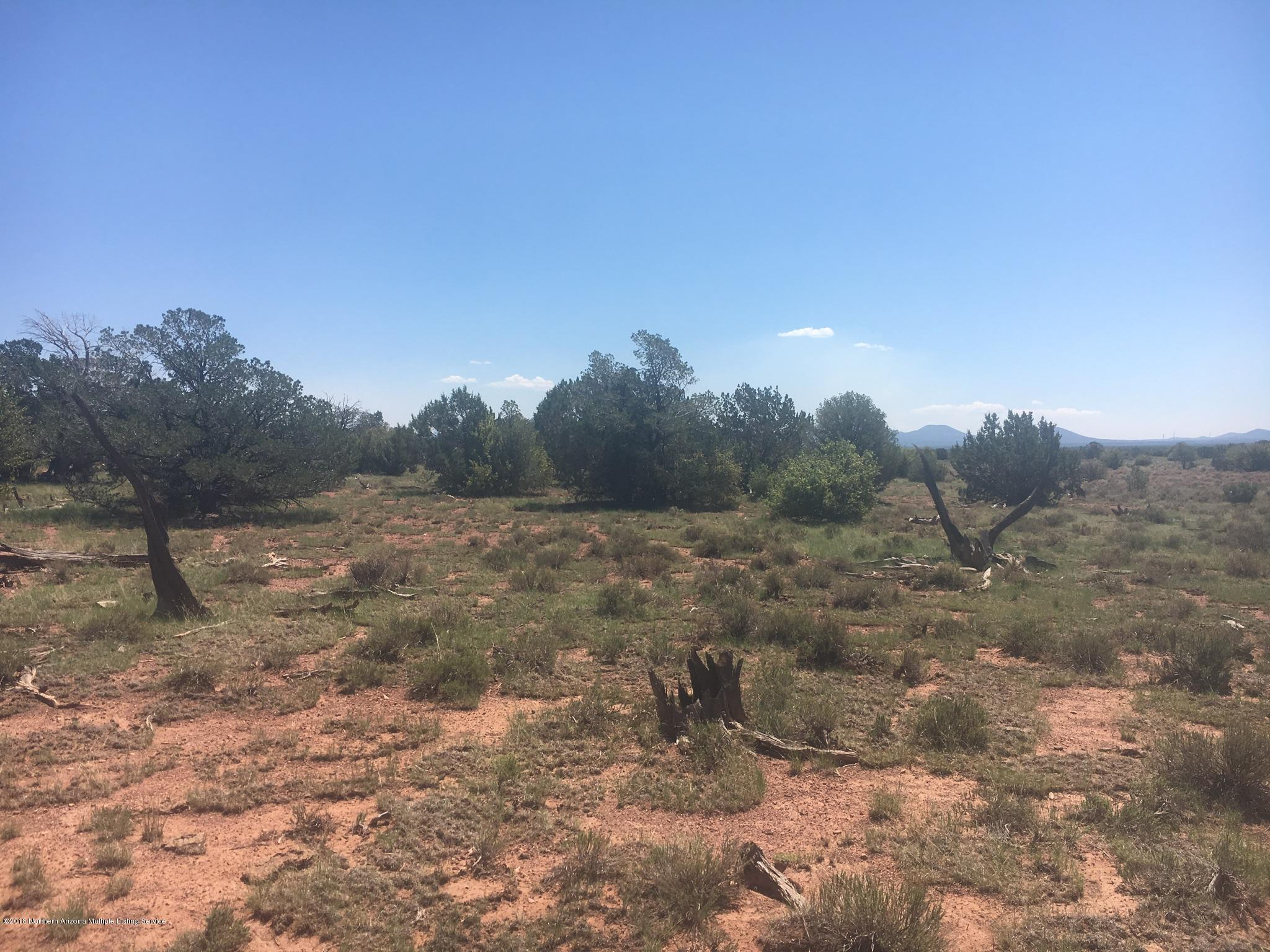 9207 West Red Bluff Road Williams, AZ 86046 - Photo 7 of 11 1C29AEAC-4477-4711-9F2B-BA561F4C231F