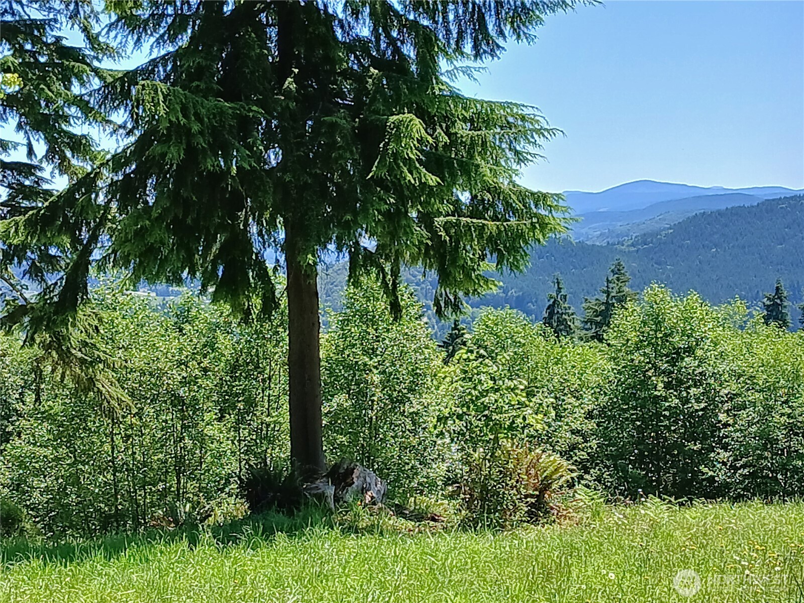 132 Salem Plant Road Silver Creek, WA 98585 - Photo 14 of 23 an aerial view of a house with a yard