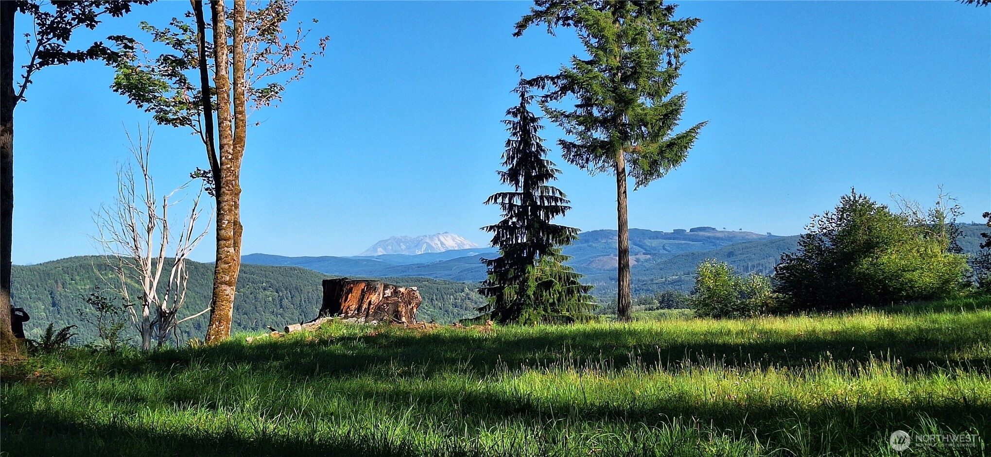 132 Salem Plant Road Silver Creek, WA 98585 - Photo 18 of 23 a view of a lake with a house in background