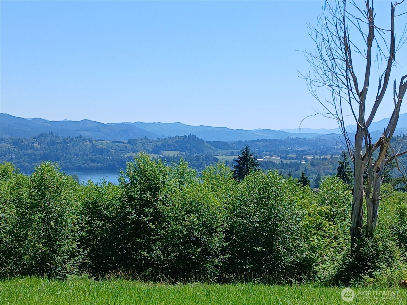 132 Salem Plant Road Silver Creek, WA 98585 - Photo 19 of 23 a view of a lush green field with lots of bushes