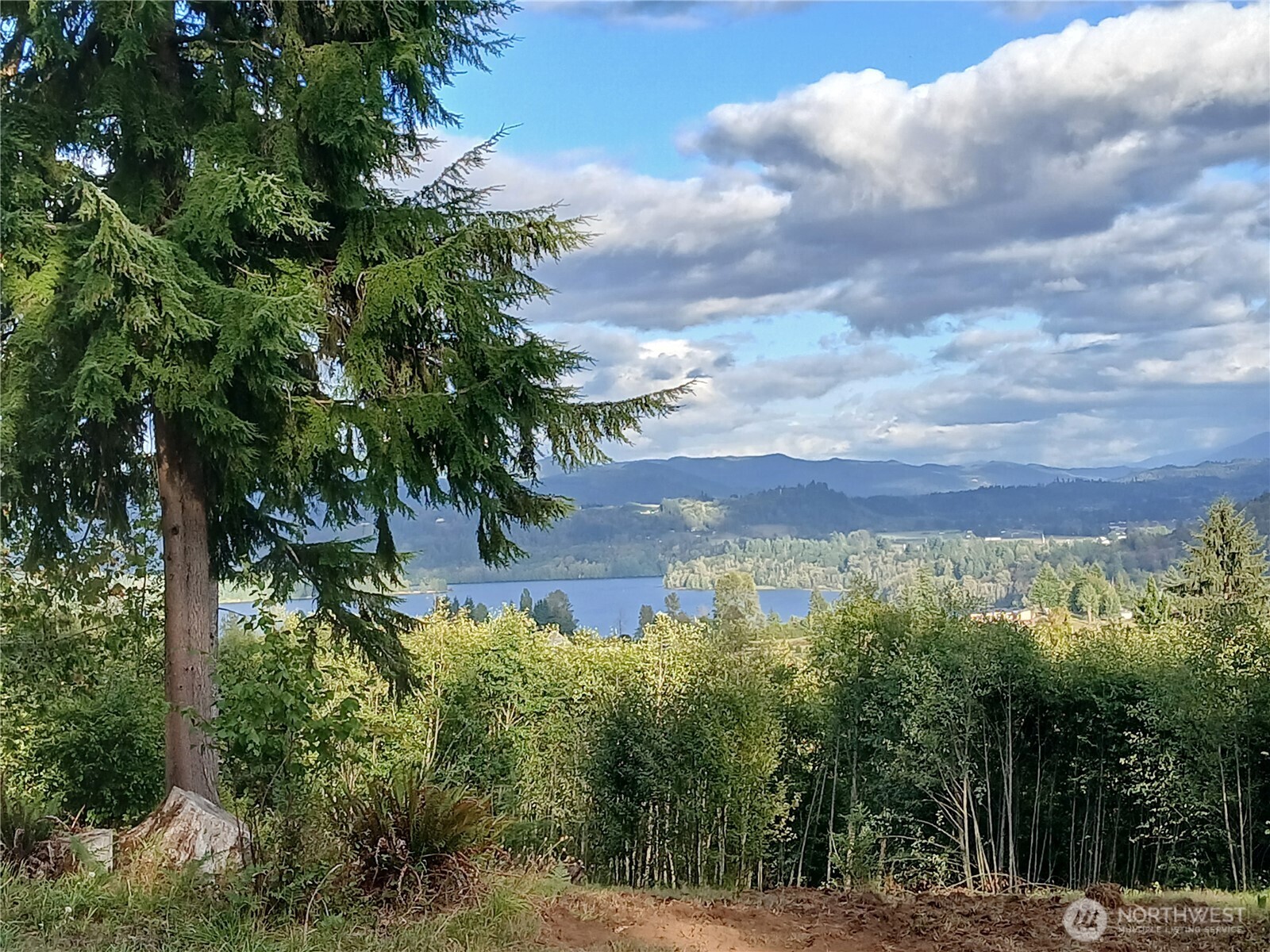 132 Salem Plant Road Silver Creek, WA 98585 - Photo 2 of 23 a view of a lake