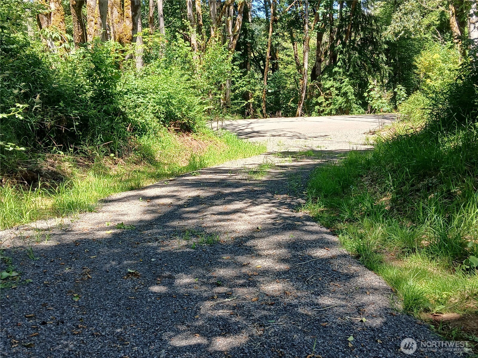 132 Salem Plant Road Silver Creek, WA 98585 - Photo 23 of 23 a view of a yard with a tree